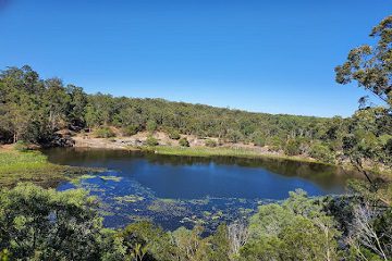 Daisy Hill Conservation Park