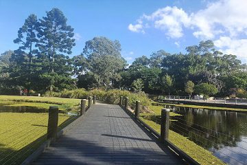 Gold Coast Regional Botanic Gardens-Benowa