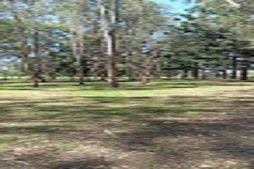 Pine Rivers Park Disc Golf Course